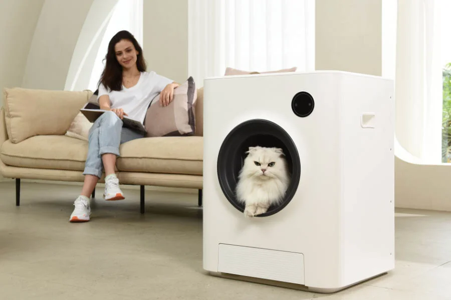 fancy litter box